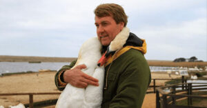 Read more about the article A Heartwarming Meeting: A Swan’s Thanks for Saving a Life