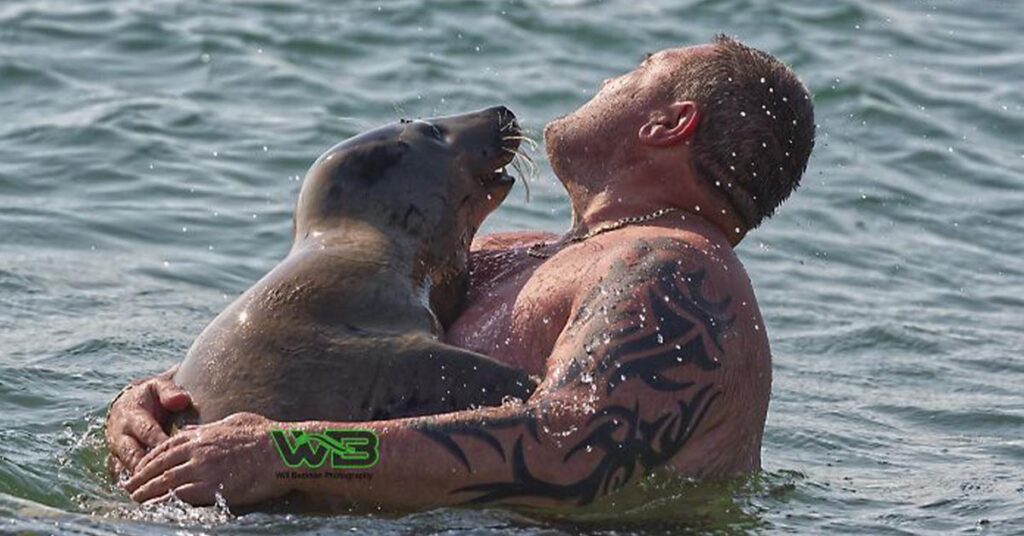 Meet Sammy, a Cute And Friendly Seal Who Loves Surprising People At The Beach (5 images).