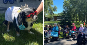 Read more about the article People with disabilities and old age are led in the cutest parade ever by their adorable dogs.