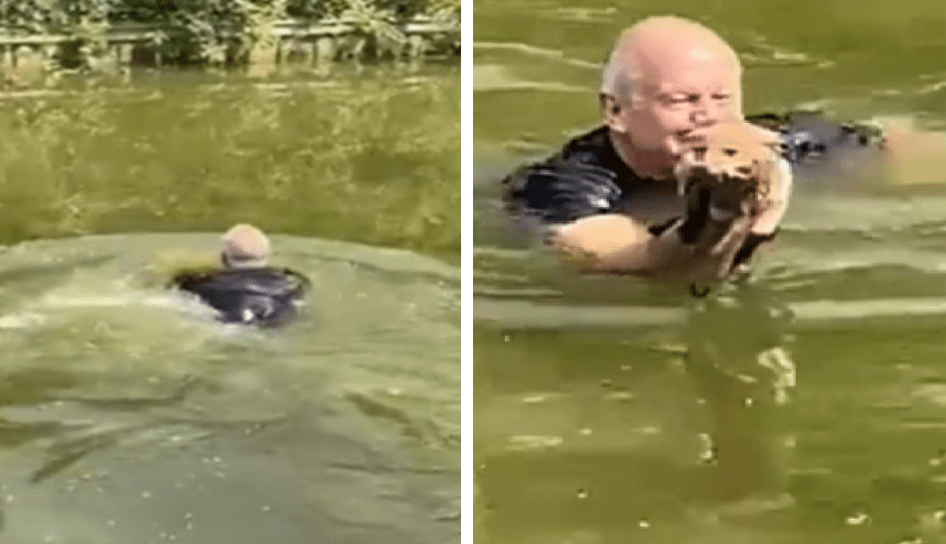 You are currently viewing A man jumps into a canal to save a fox cub that was about to drown.