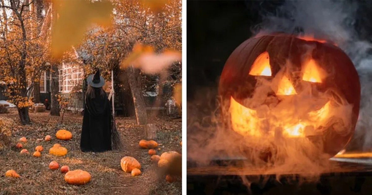 You are currently viewing 10 funny Halloween quotes that are perfect for the scary time of year